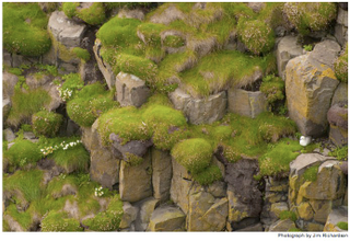 Illustration for article titled A Journey To Scotland Reveals The True Inspiration For Avatar's Pandora